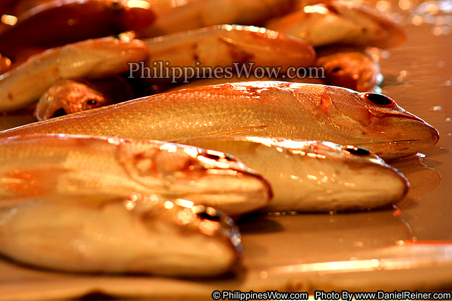 Philippine Dalagang Bukid Fish