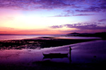 Philippine Fishing at Sunrise