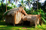 Philippine Nipa Hut