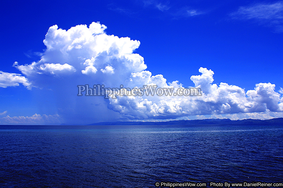 Philippine Rain Shower