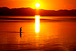 wade fishing in sunset